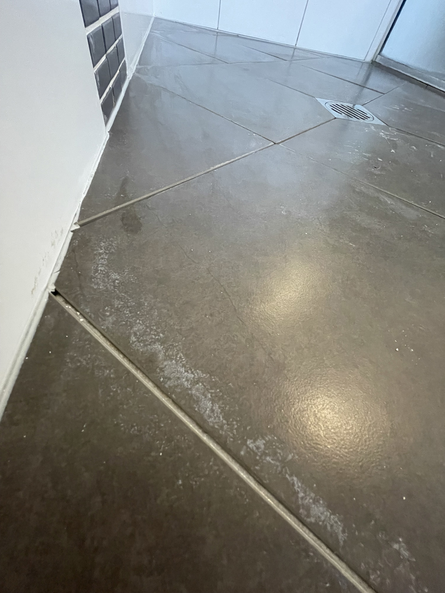 Calcium Build up and holes in grout