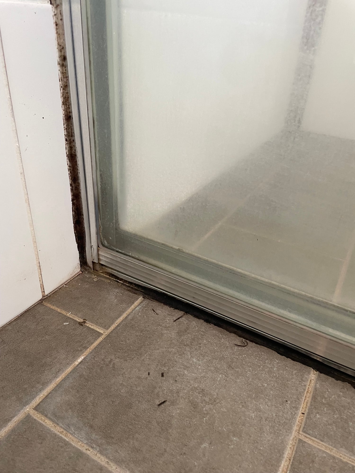 Mouldy shower screen